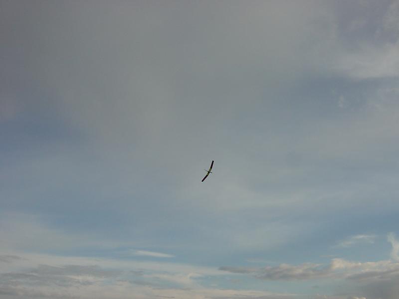 DSC00019.JPG
