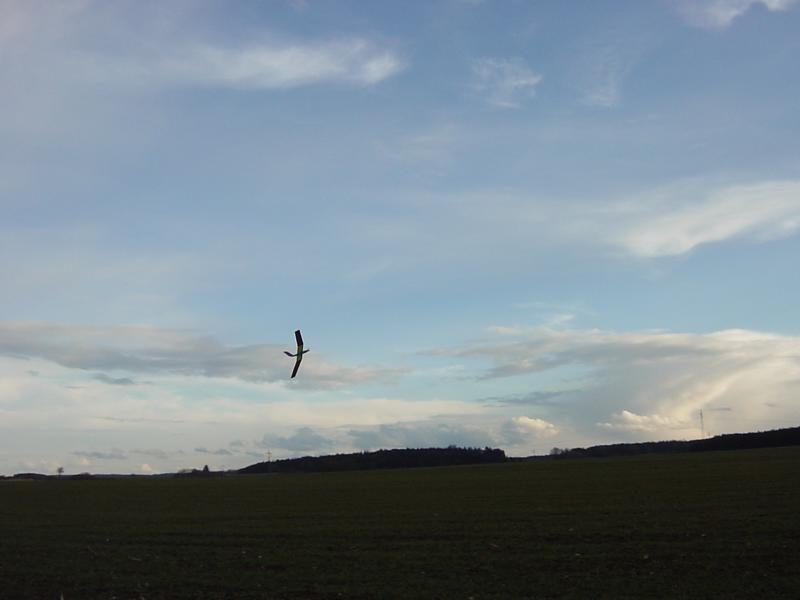 DSC00036.JPG