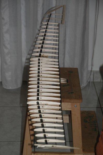 Fluegel zusammengesetzt von der Seite