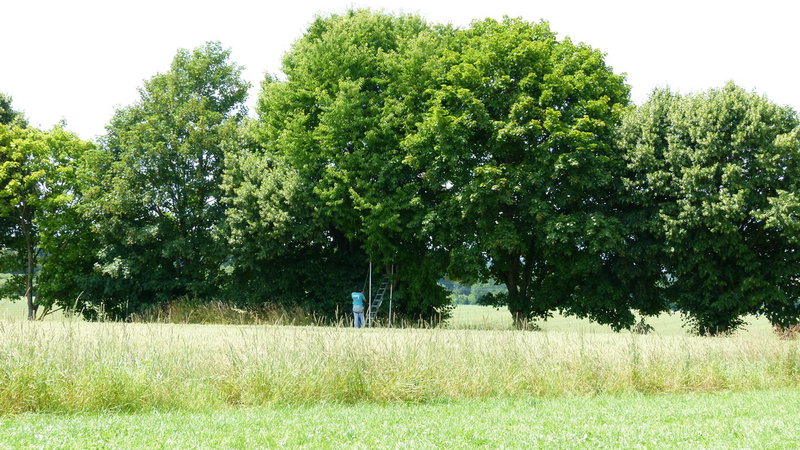 Ja do oben liegt ein 4m Teil