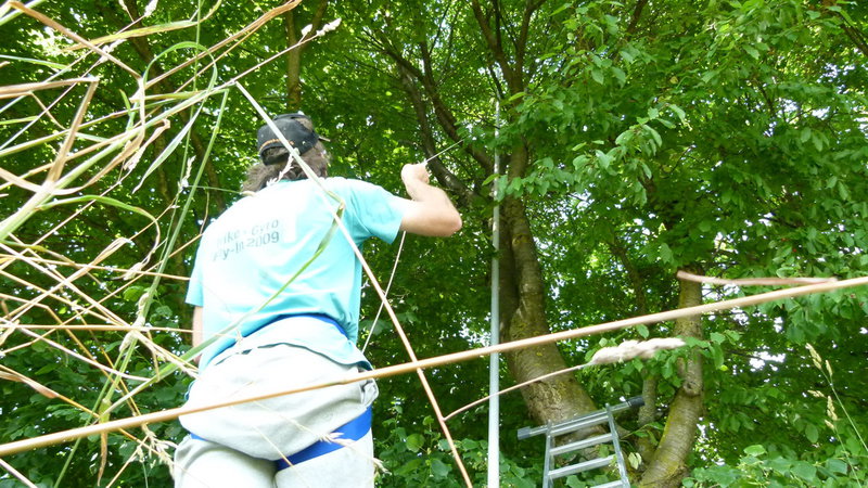 genau so viel sahen wir auch?