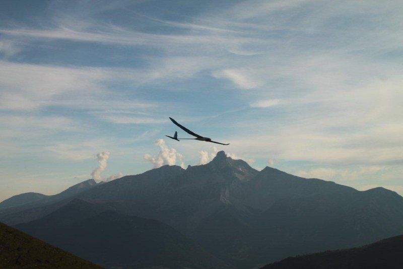 parquetout Aout 201 062.jpg