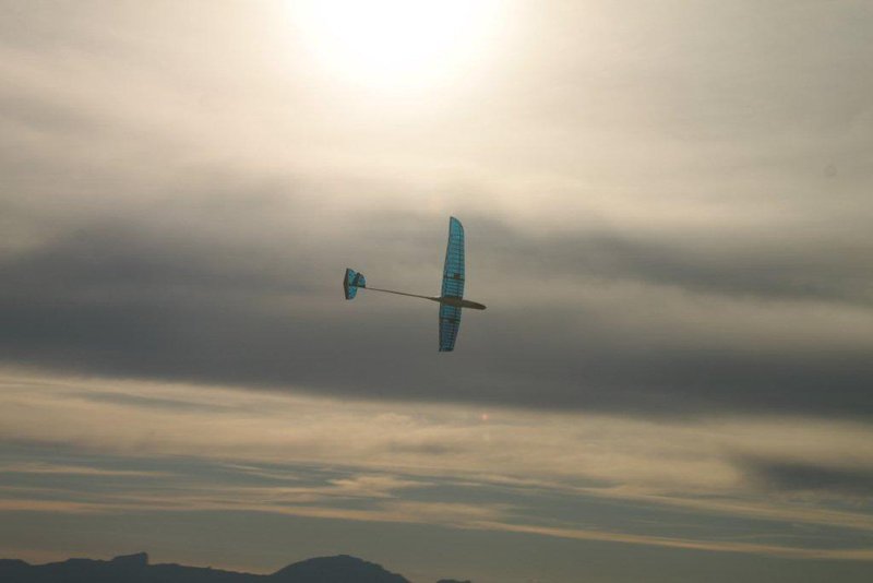 parquetout Aout 201 092.jpg