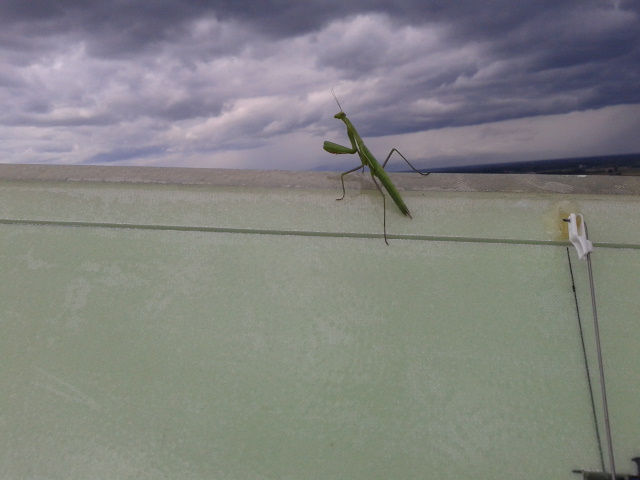 2013-08-19 11.54.39.jpg