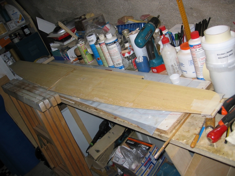 Die Wurzelrippen mit 2mm Sperrhol spaltfrei gemacht und mit den Randbögen begonnen