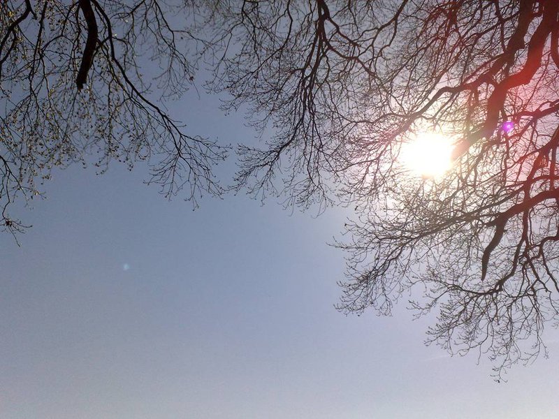 02042011375.jpg