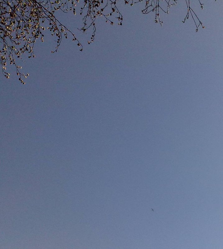 02042011378.jpg