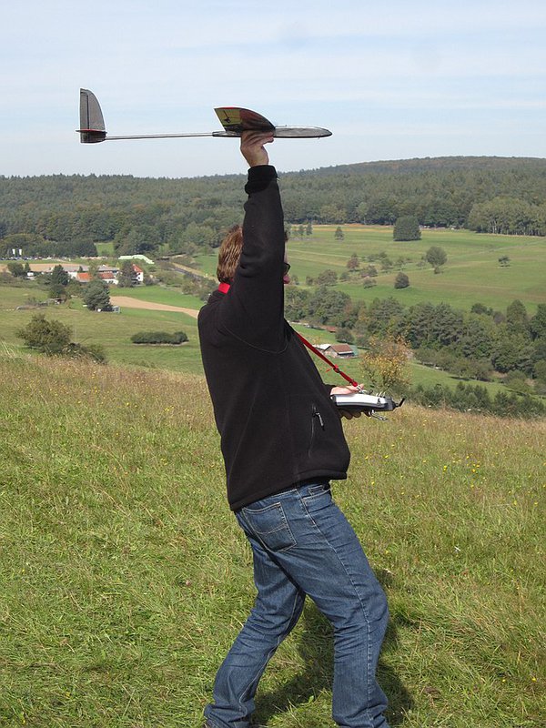 Dieters "sportlicher" Birdy DS