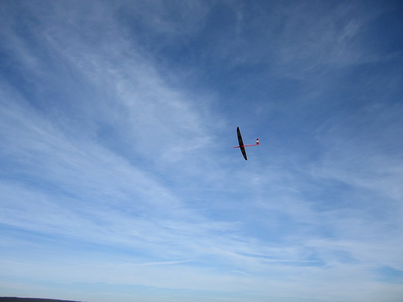 Eigenbau-Europhia von Thomas und Michael