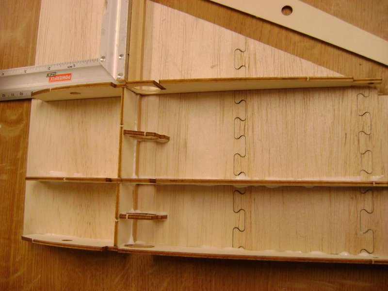 Dann eine Rippe nach der anderen mit dem Winkel ausrichten und aufleimen.