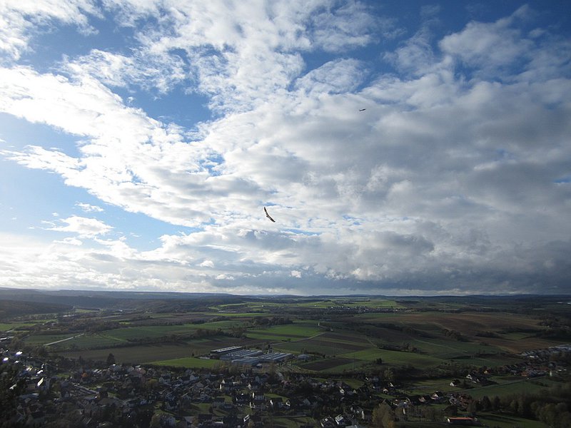 Xeno eines Kollegen, ging bei den Bedingungen auch ganz nett