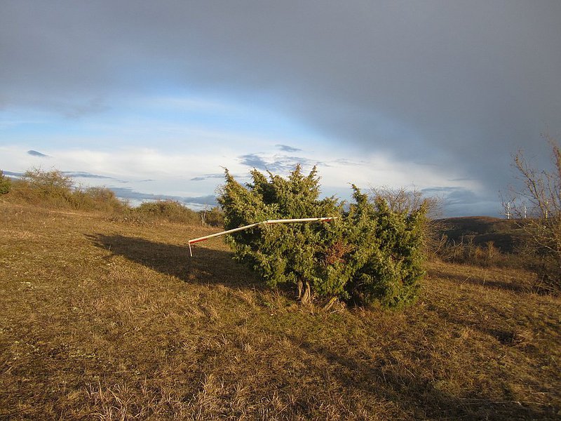 Das Ergebnis des einzigen kleinen Absaufers heute, eine Rückenwindlandung im Springbusch...besser als auf einem Springstein