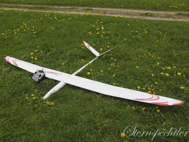 Dragon in freier Wildbahn