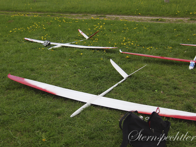 Dragon in guter Gesellschaft