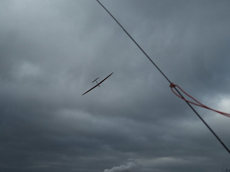 KleinIMG_7285.jpg (188.16 KiB) 3717 mal betrachtet Hannibal