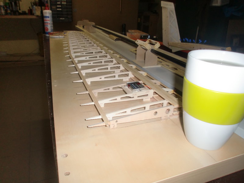 Holme _Eingezogen.JPG