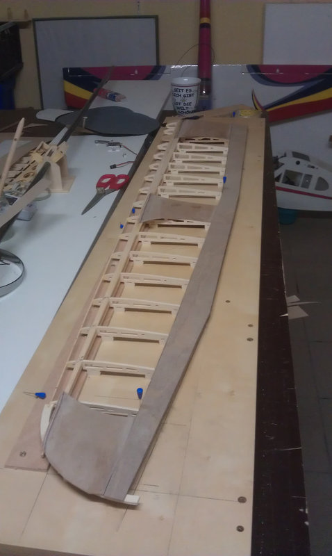 Beplanken2.jpg