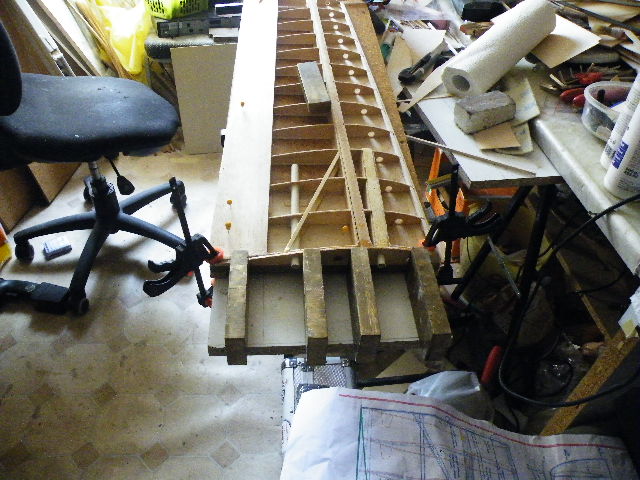 Wurzelrippe schräg angeleimt