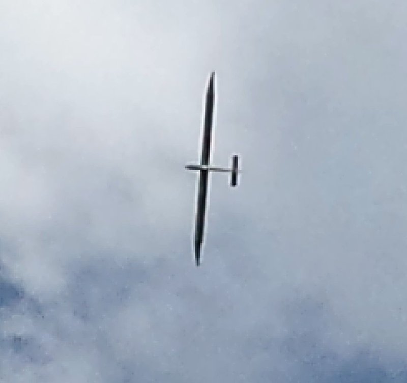 85 Weiß jemand was das für ein Vogel ist.jpg