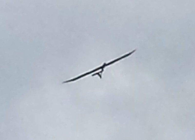 86 Weiß jemand was das für ein Vogel ist.jpg
