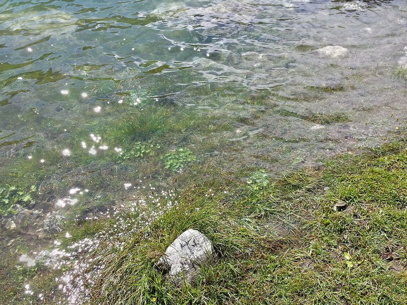 93 Der Wasserstand ist gut 3m über Normal.jpg