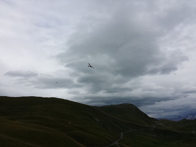 96 Paragleiter, Modelle, Adler....jpg