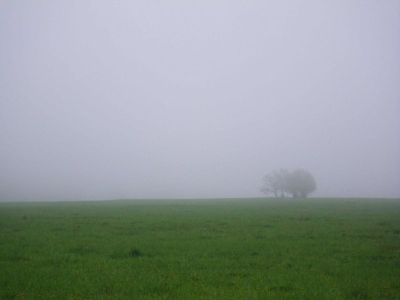 Nebel.jpg