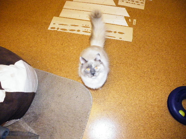 DSCF5395.JPG
