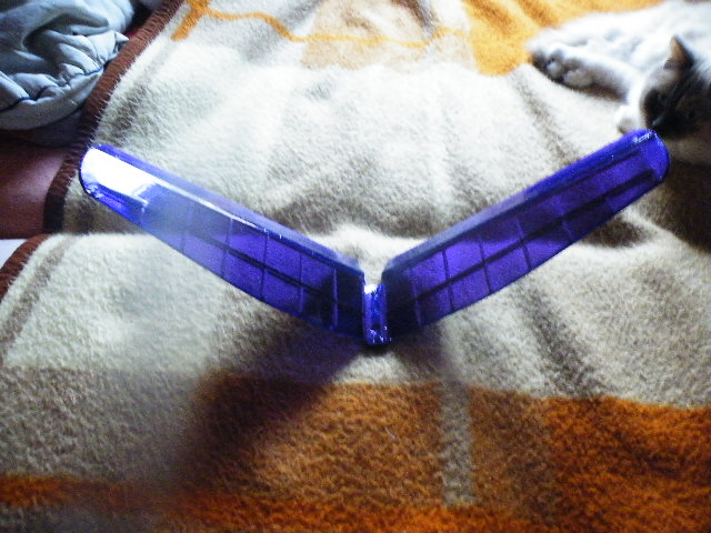 Meiner Katze Interessiert es nicht so richtig