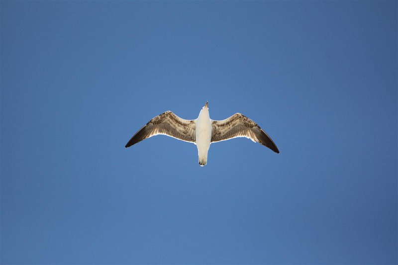 die Locals über die Gegebenheiten vor Ort fragen