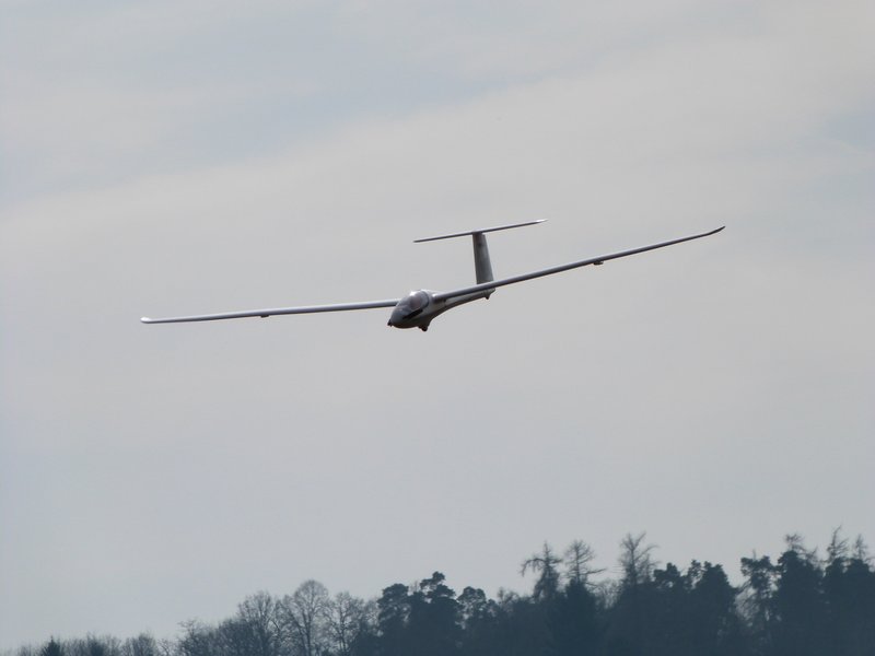 Weinberg 08.03.15 008.JPG