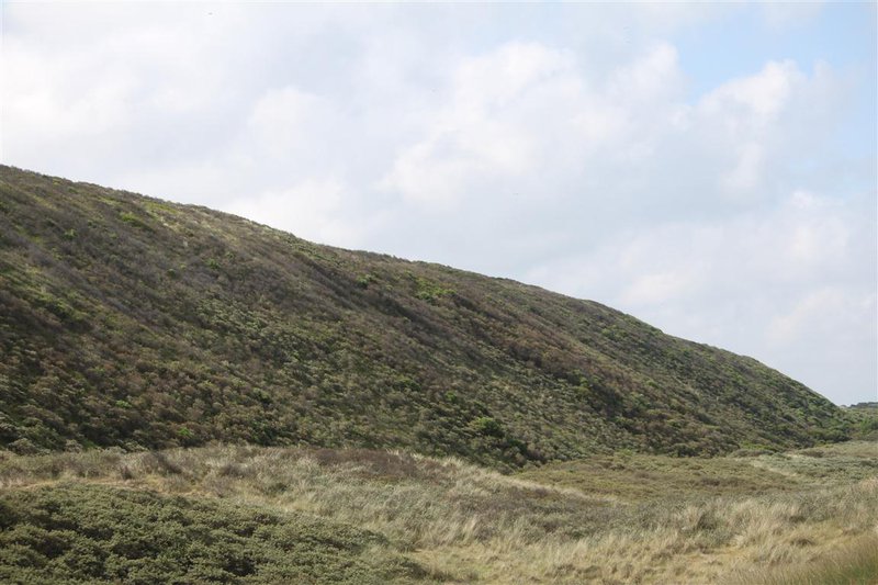 Noch ne sehr nette Düne