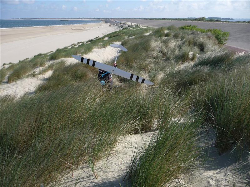 P1040054 (Mittel).JPG