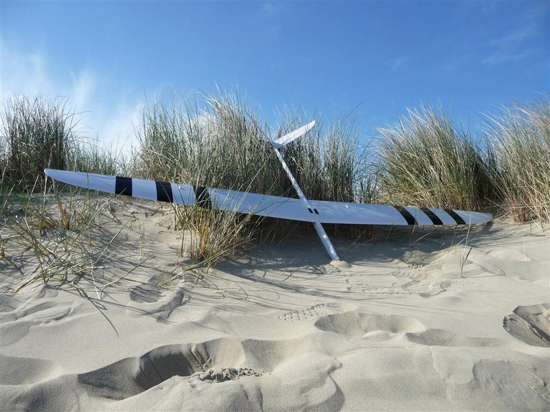 P1040056 (Mittel).JPG