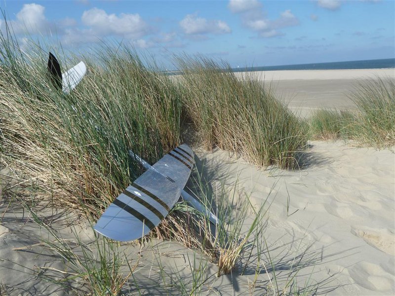 P1040057 (Mittel).JPG