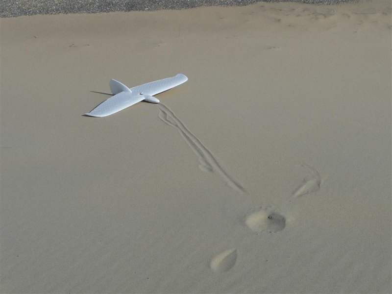 P1040134 (Mittel).JPG