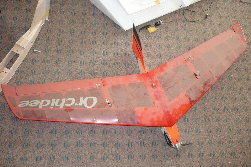 P1030391.JPG (4.18 MiB) 2480 mal betrachtet Ur-Hai von Wolfgang Werling FMT 2003