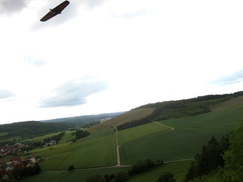 Klein110527 Weinberg 062.jpg