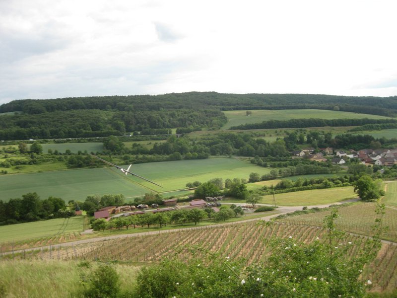 Klein110527 Weinberg 075.jpg