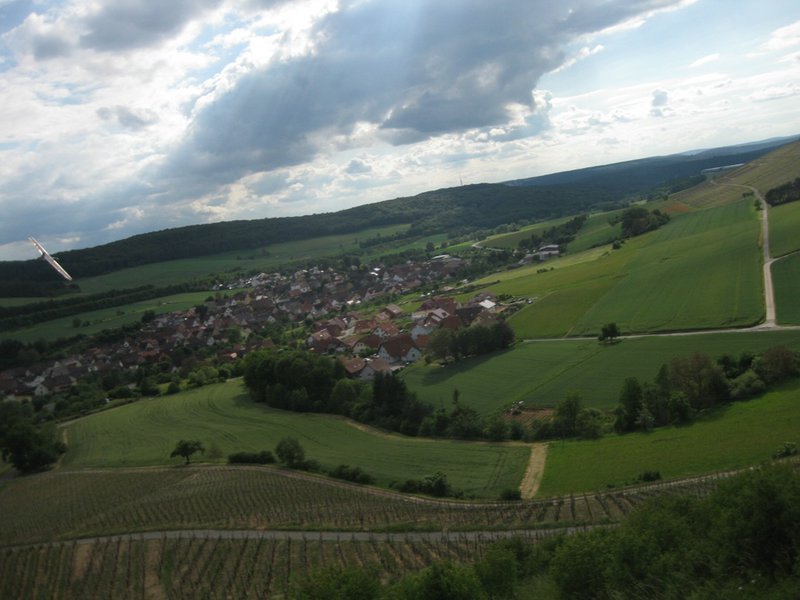 Klein110527 Weinberg 092.jpg