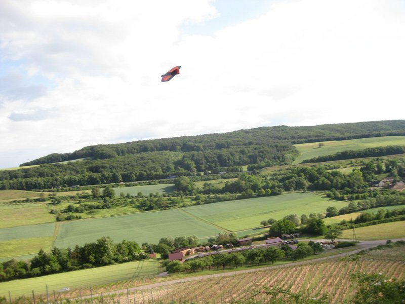 Klein110527 Weinberg 116.jpg