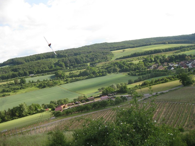 Klein110527 Weinberg 135.jpg