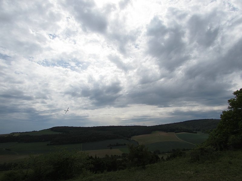 Klein_IMG_6849.jpg