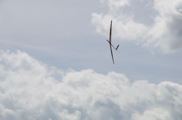 auch bei einer Europhia können sich die Flächen biegen