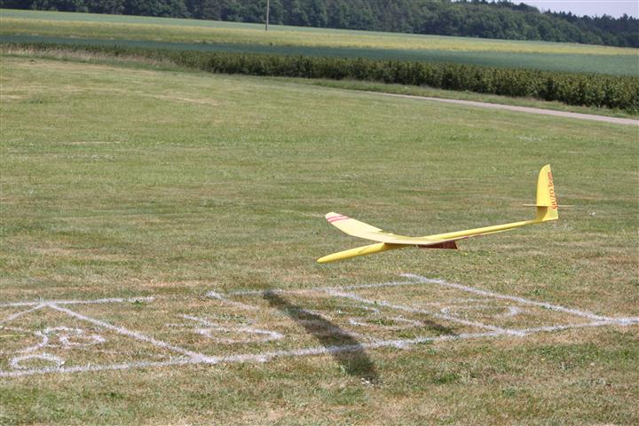 IMG_4560 (Klein).JPG