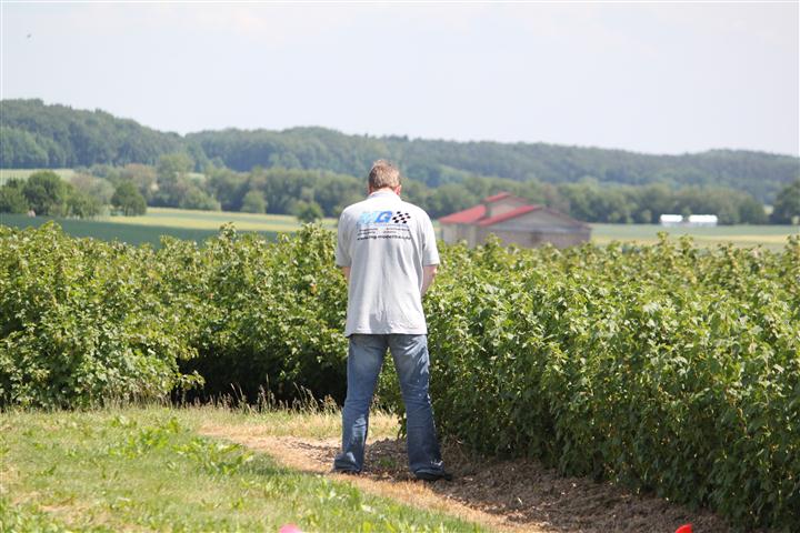 Der Veranstalter bewässert das Gelände um auch weiterhin Staubfreiheit zu gewährleisten.