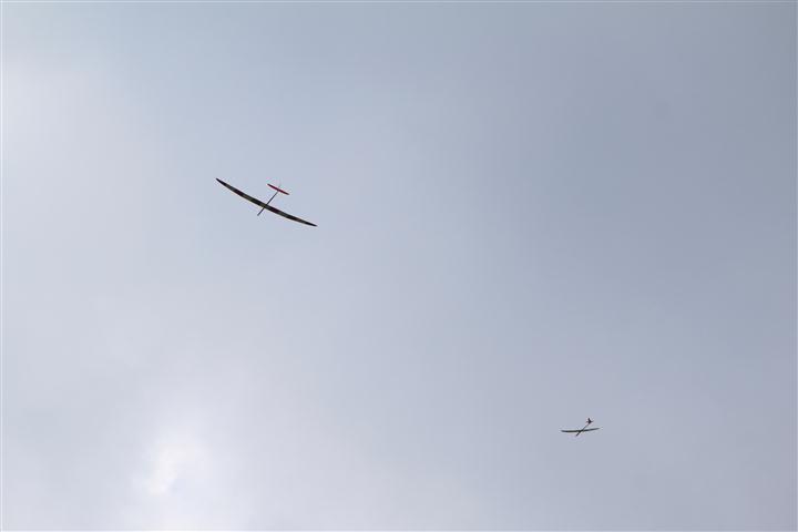 IMG_4603 (Klein).JPG