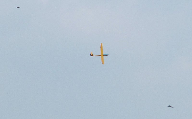IMG_1539b.jpg