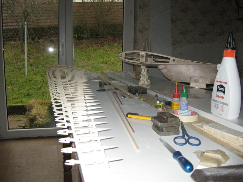 Aufgestellte Rippen, ein Anblick der bei Styrobauweise einfach fehlt, ich finds wunderbar