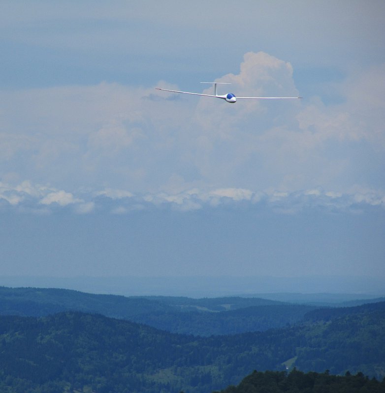 IMG_1620b.jpg